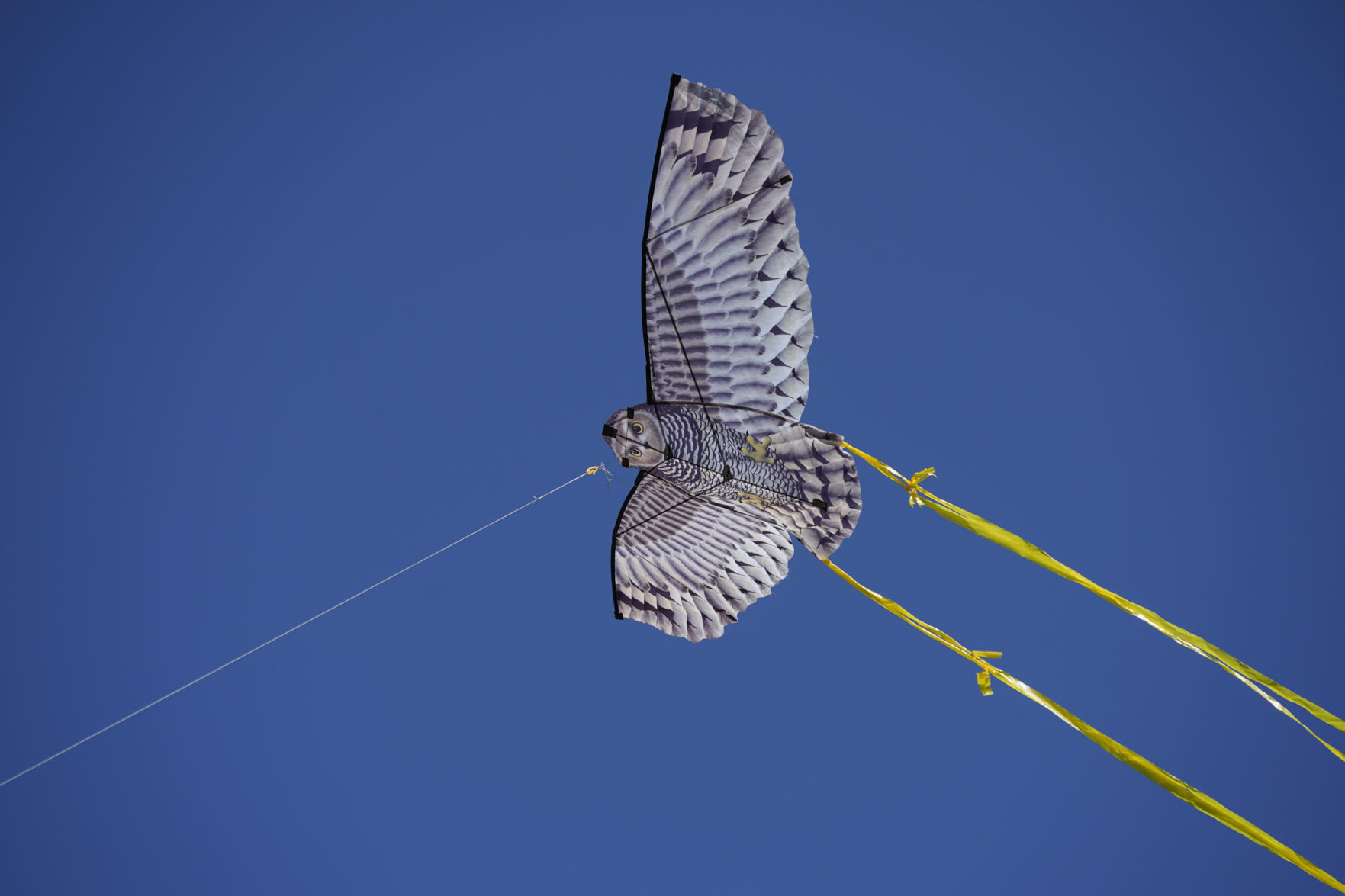 041419 Kite Festival 06.jpg